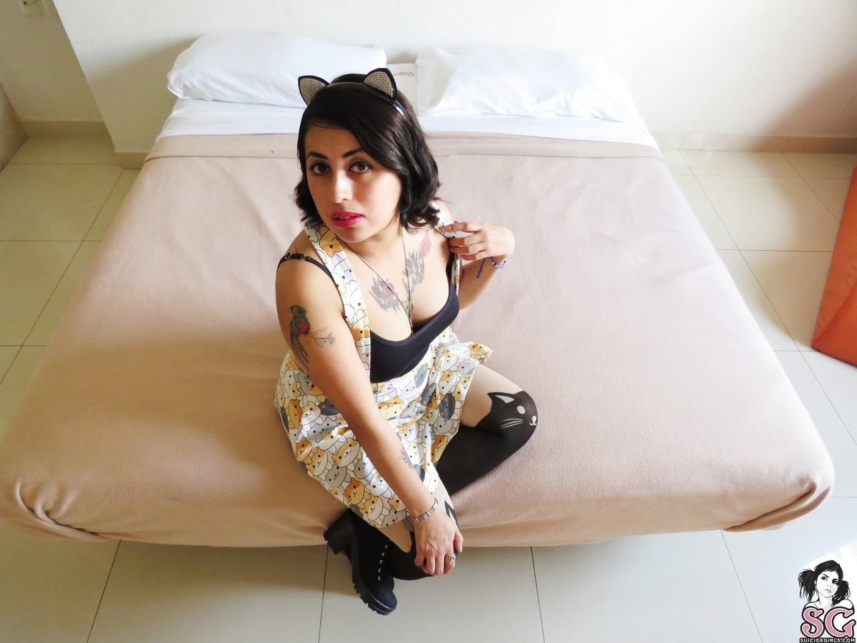 fenixparadise-catmeow-07.jpg