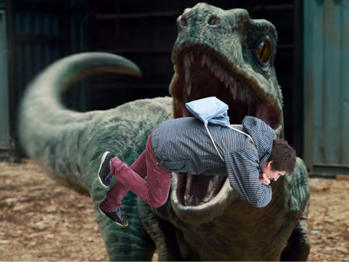 7983y9564ph11.png