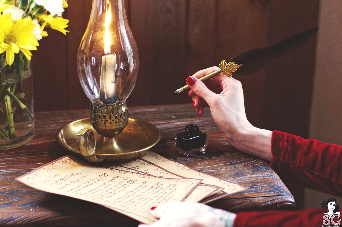 libris-littlewomenanovel-01.jpg