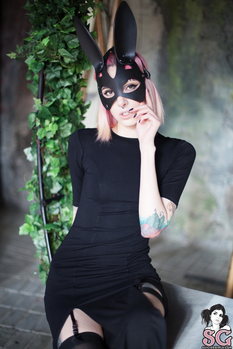 snowyfeles-followtheblackrabbit-01.jpg