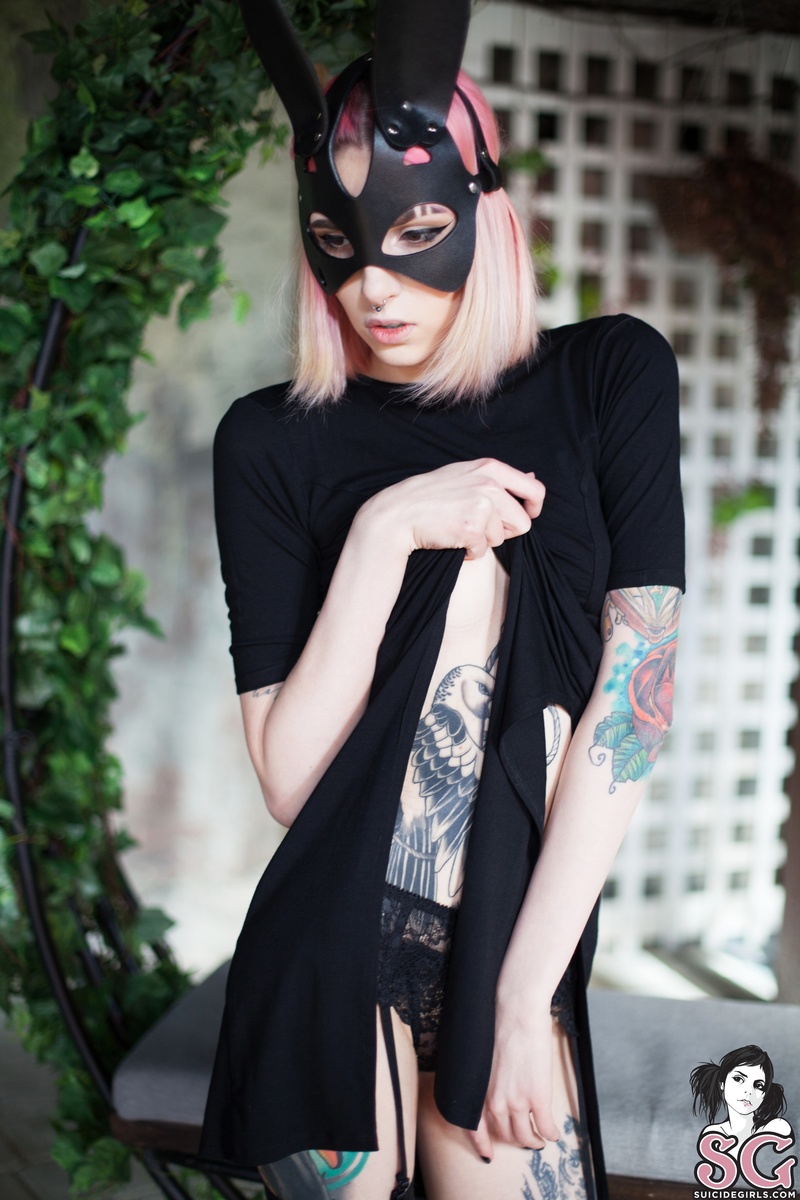 snowyfeles-followtheblackrabbit-05.jpg