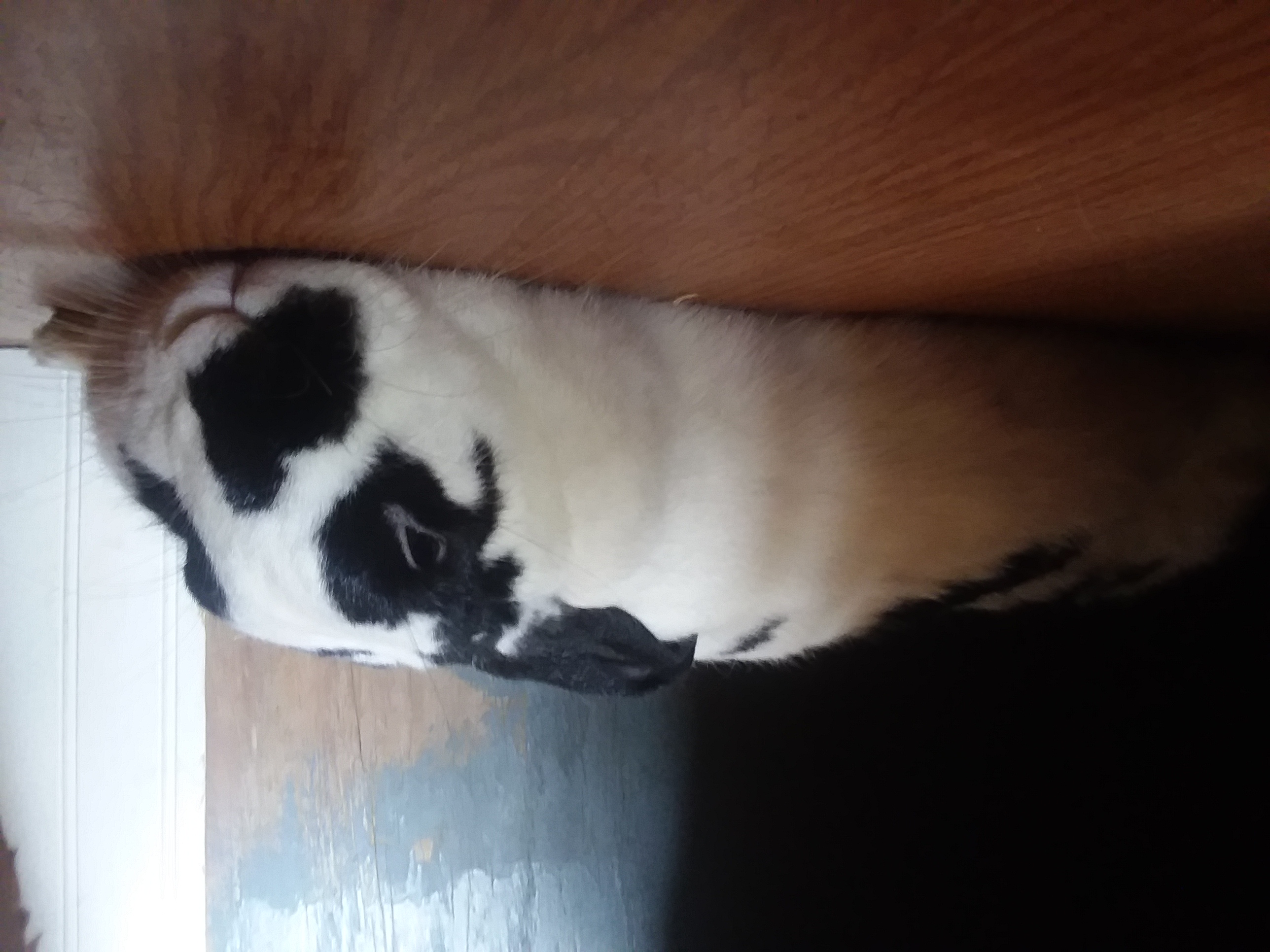 20180828_130152.jpg