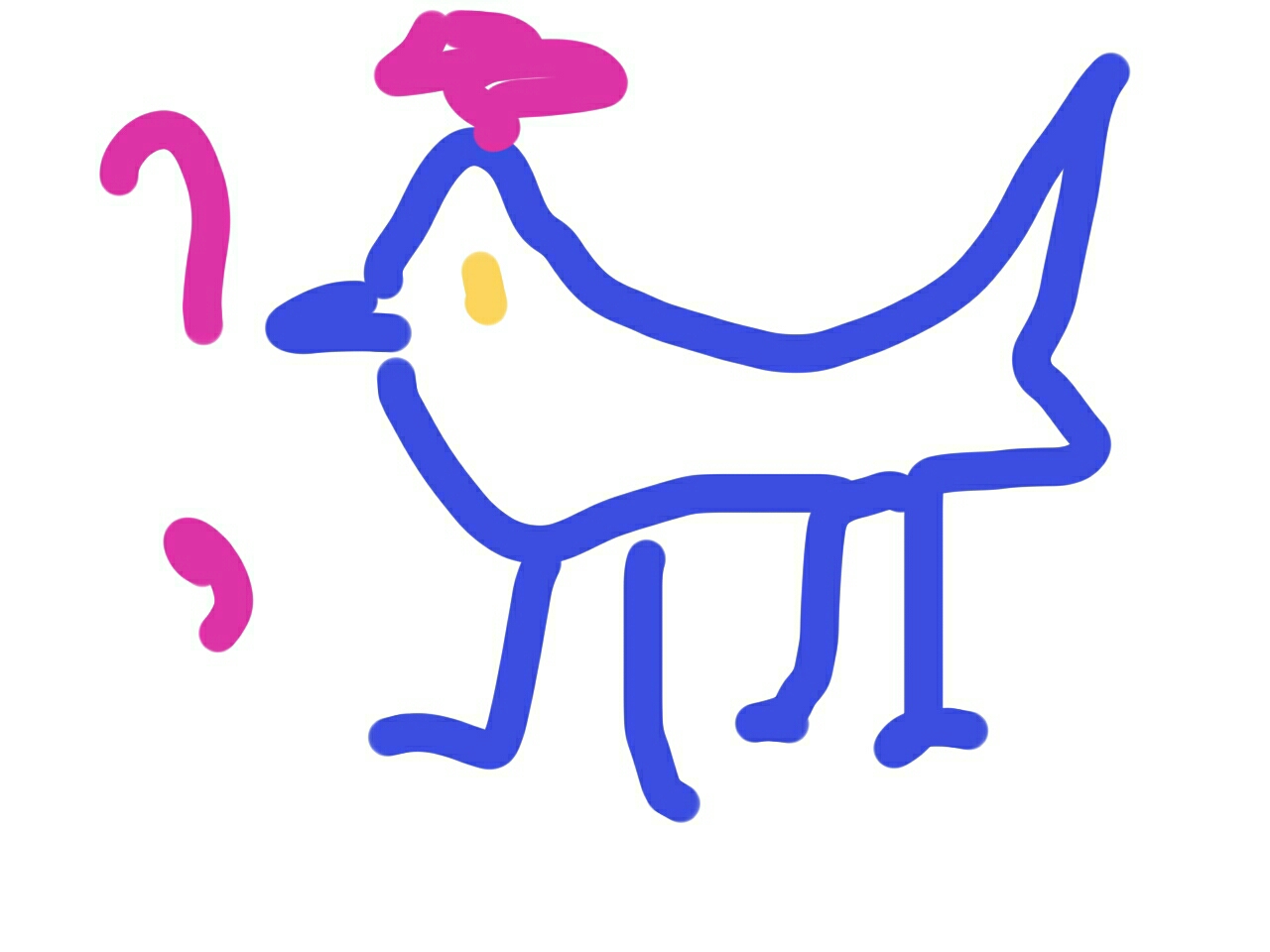 246135581_348555.jpg