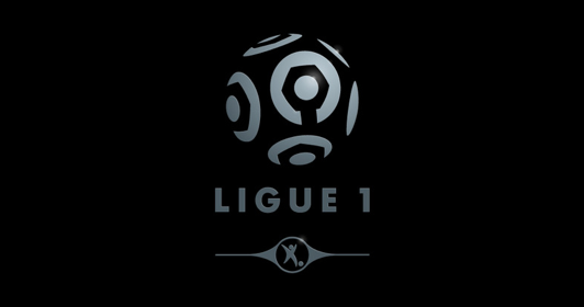 ligue_12x.png