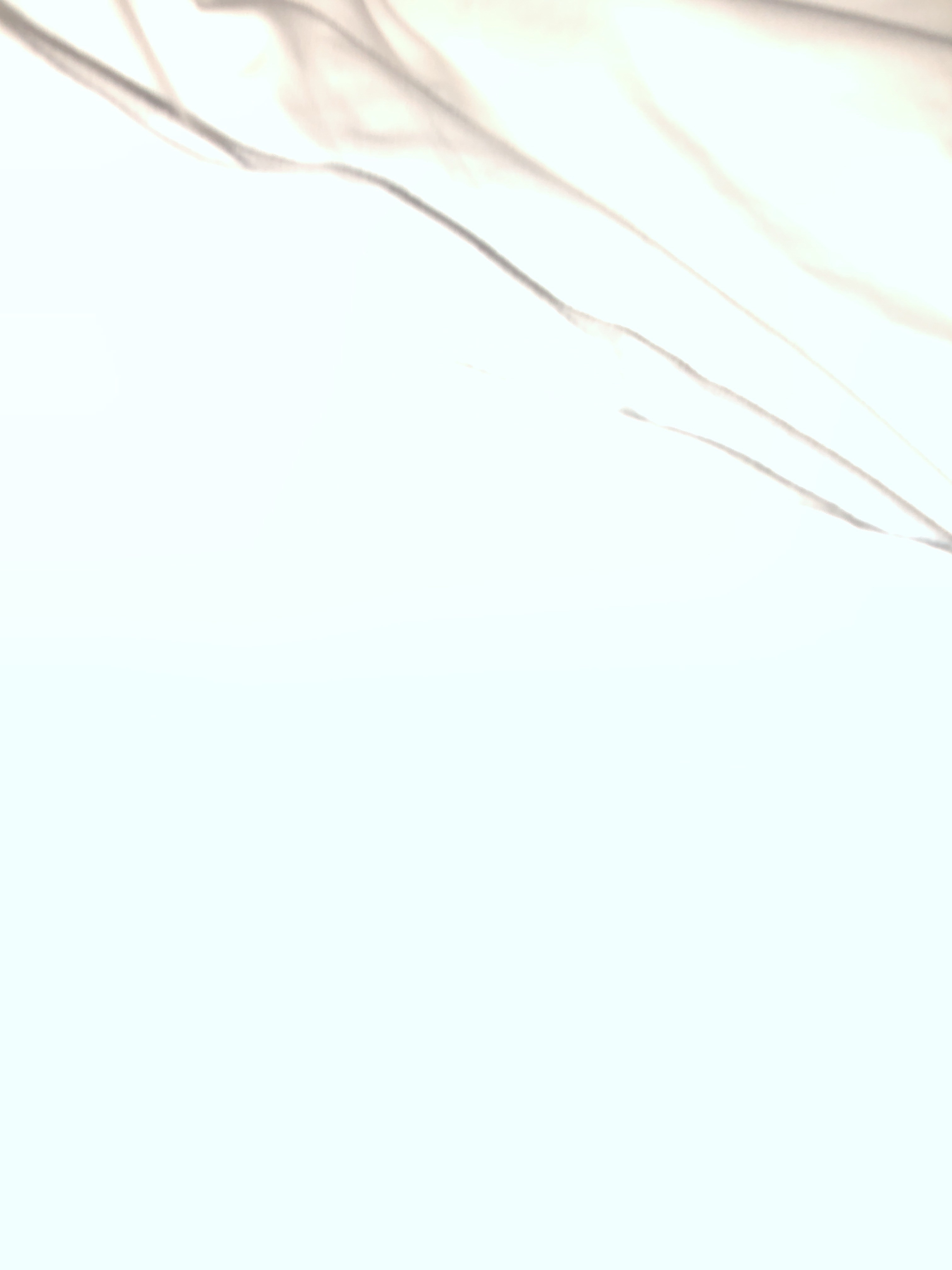 file.jpg