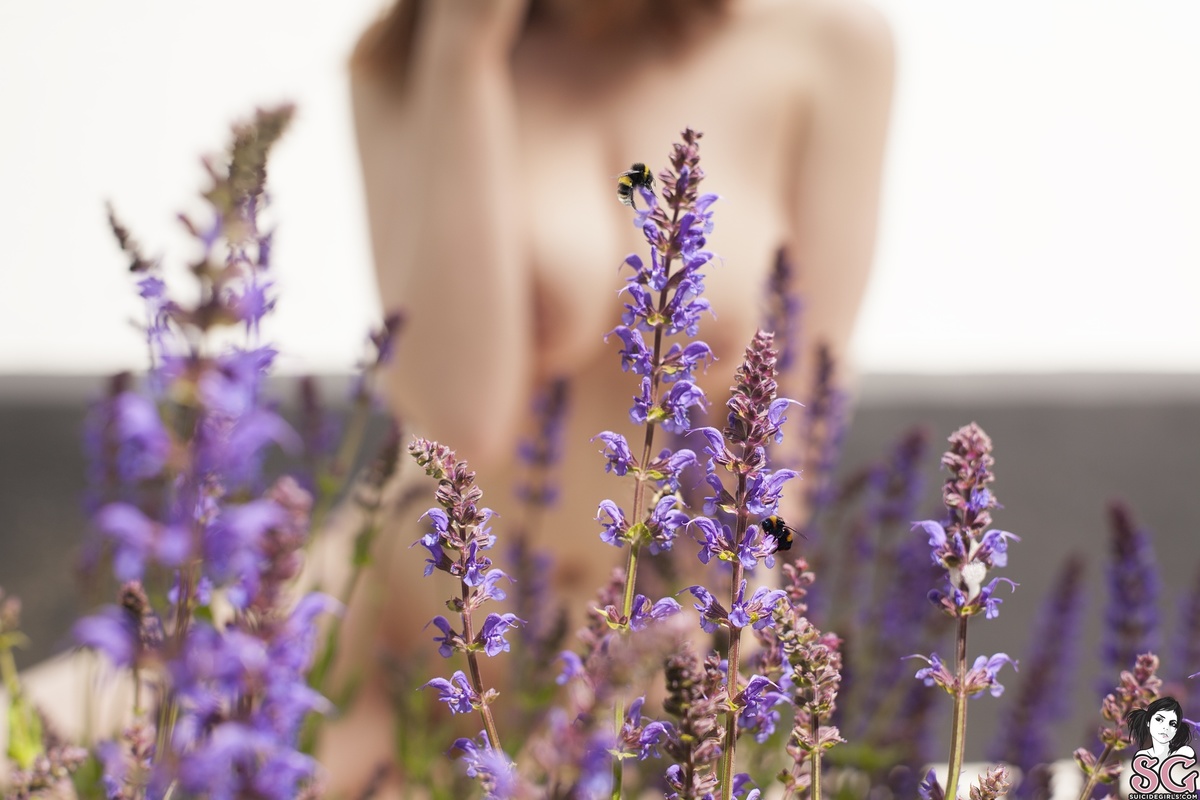 megnificent-lavenderlace-35.jpg
