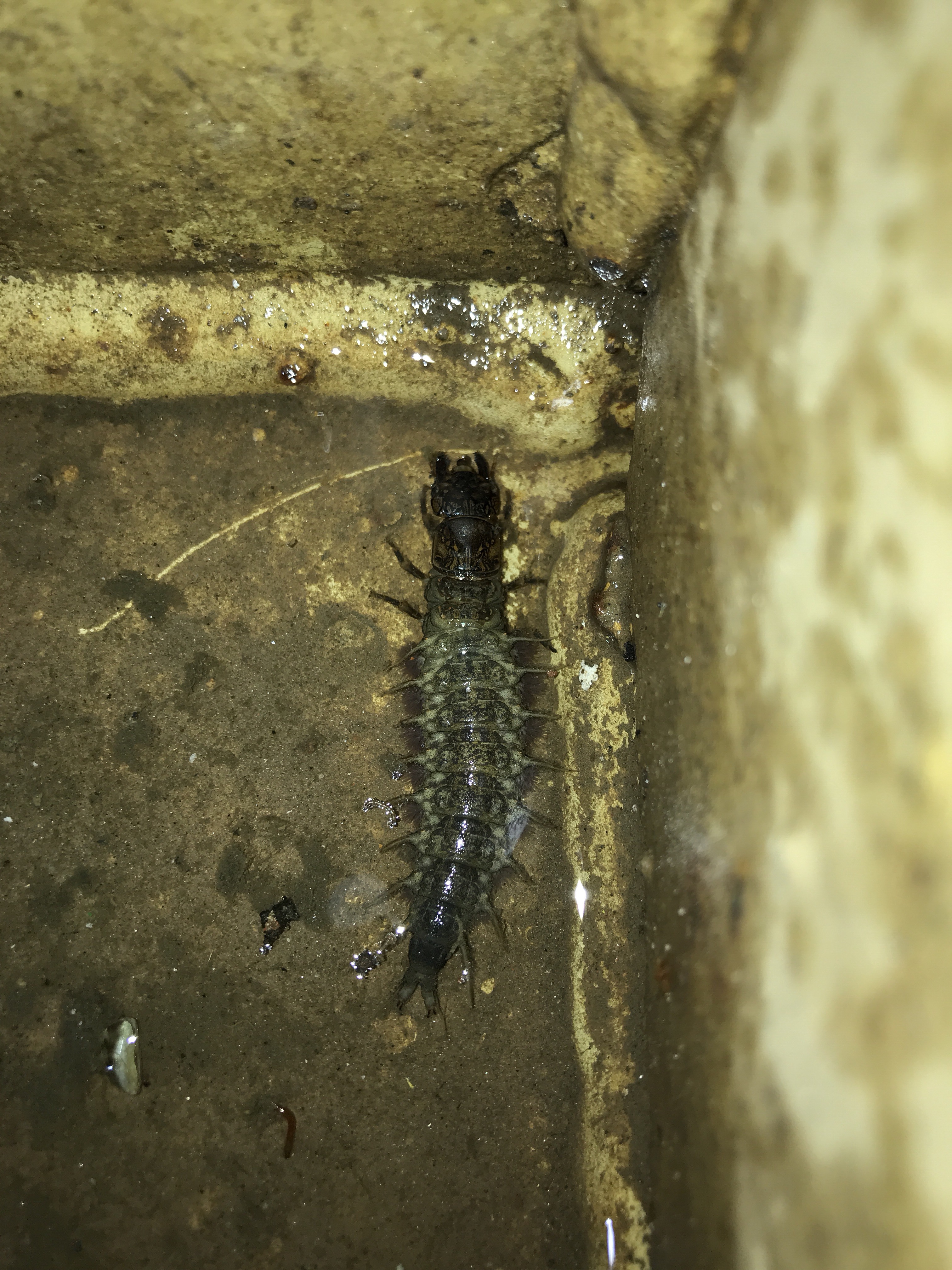 file.jpg