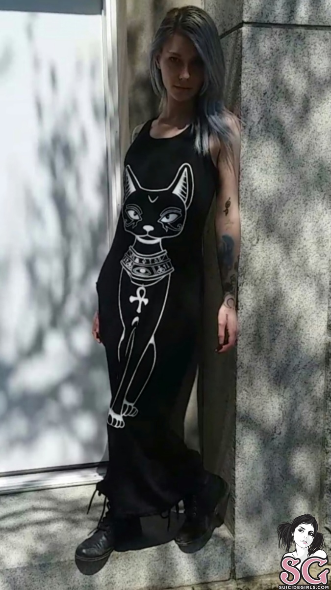 fireflyreign-cemeterycat-01.jpg