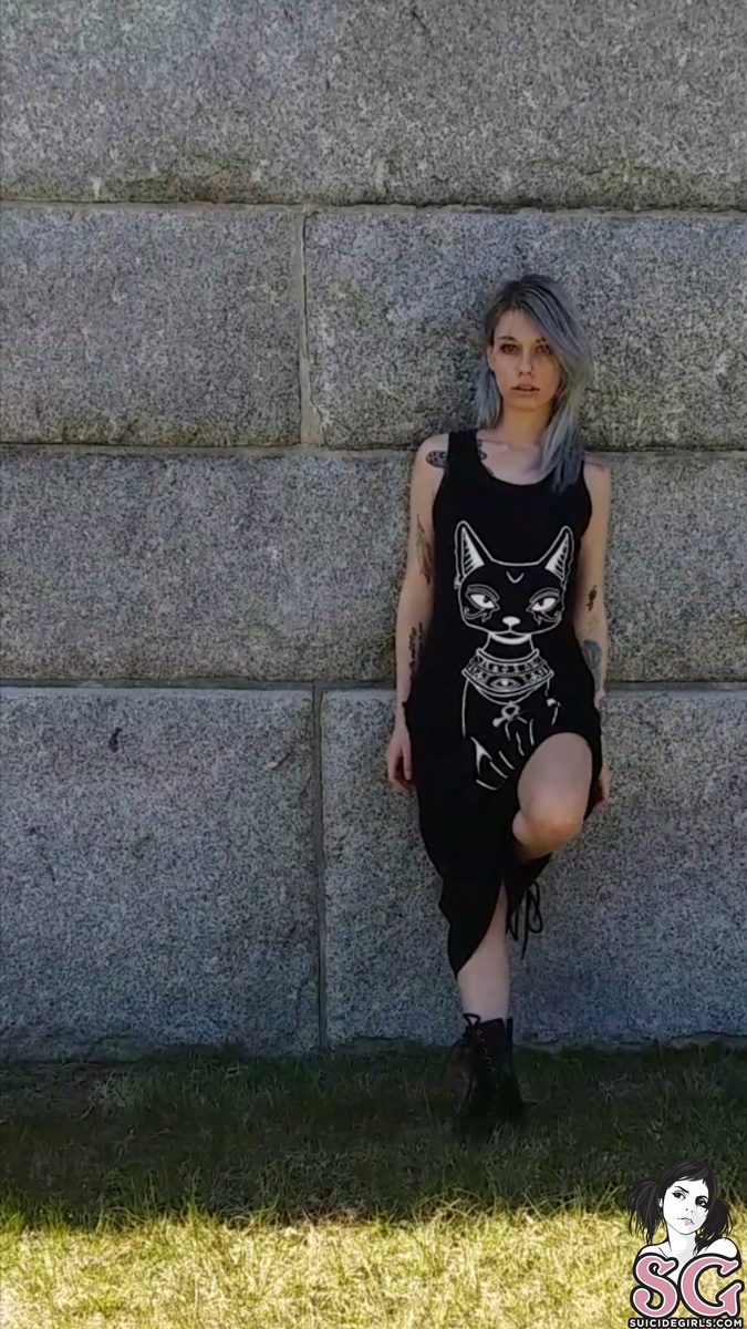 fireflyreign-cemeterycat-03.jpg