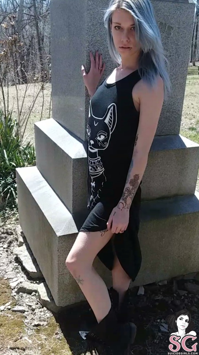 fireflyreign-cemeterycat-19.jpg