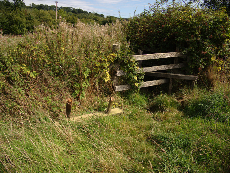20180902-P9024612.jpg