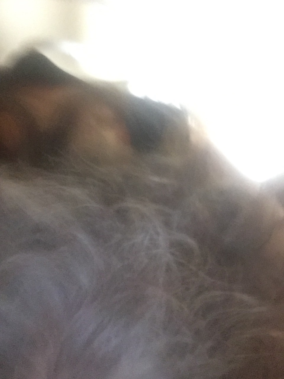 file.jpg