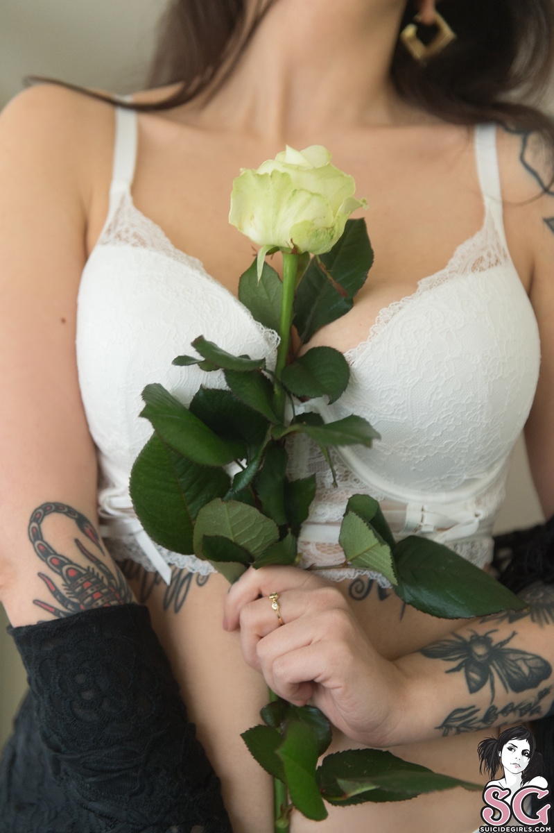 elerancida-goldenscent-05.jpg