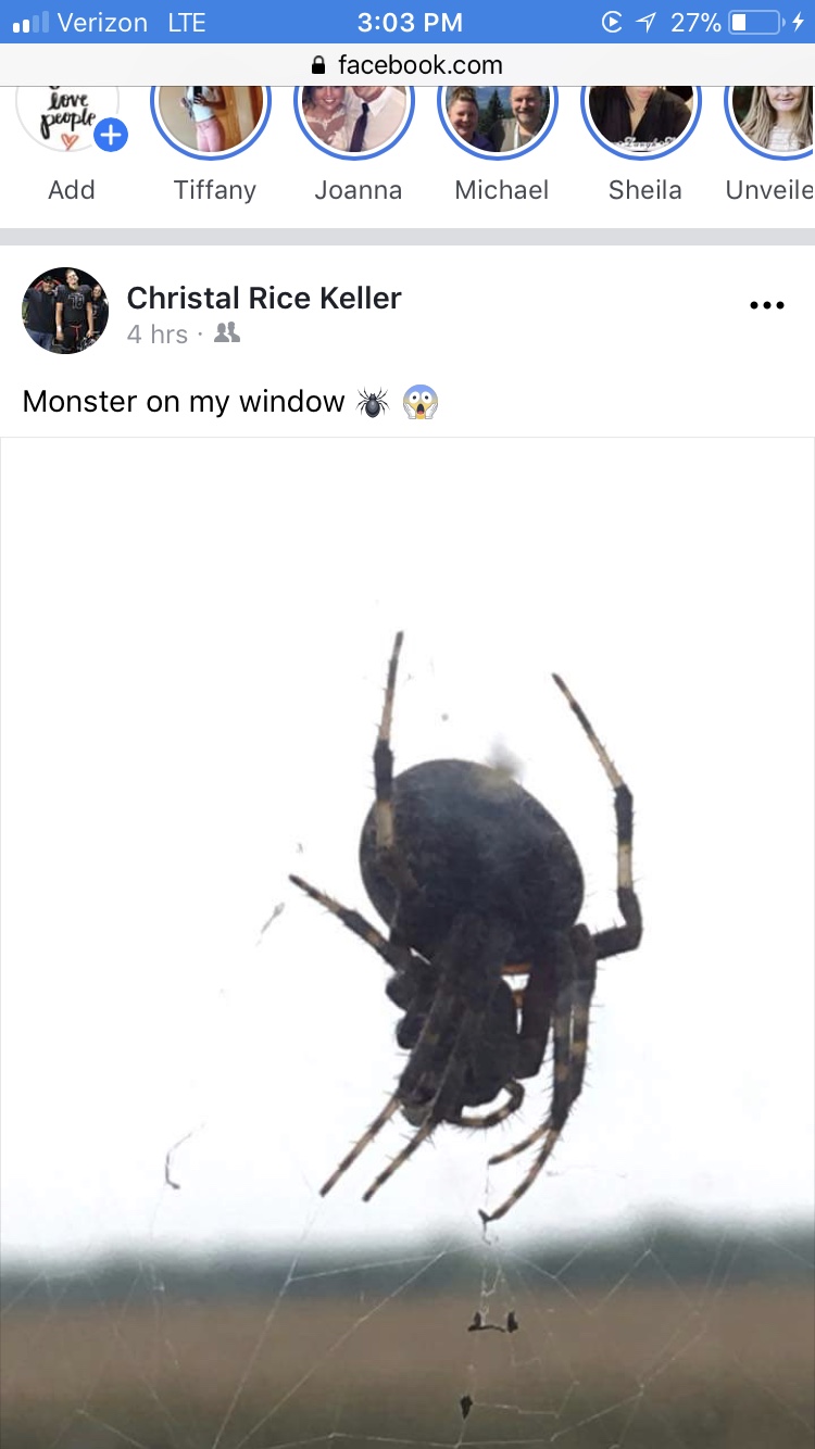 file.jpg