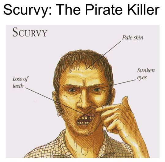 Drogo_Scurvy