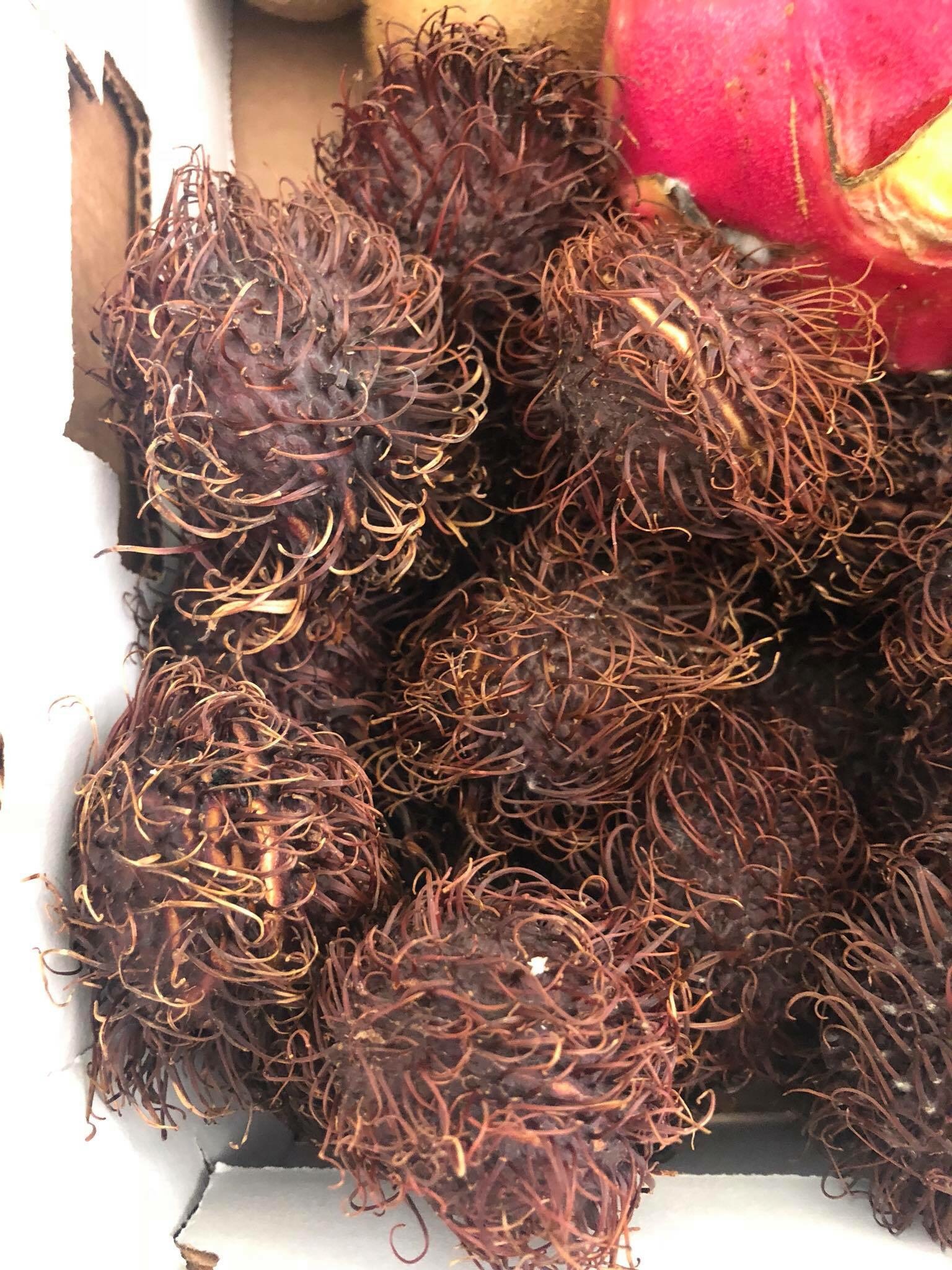 file.jpg