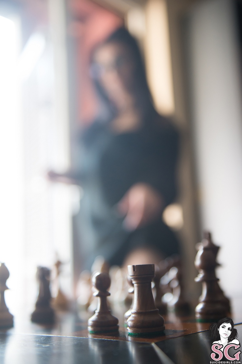venisons-checkmate-09.jpg