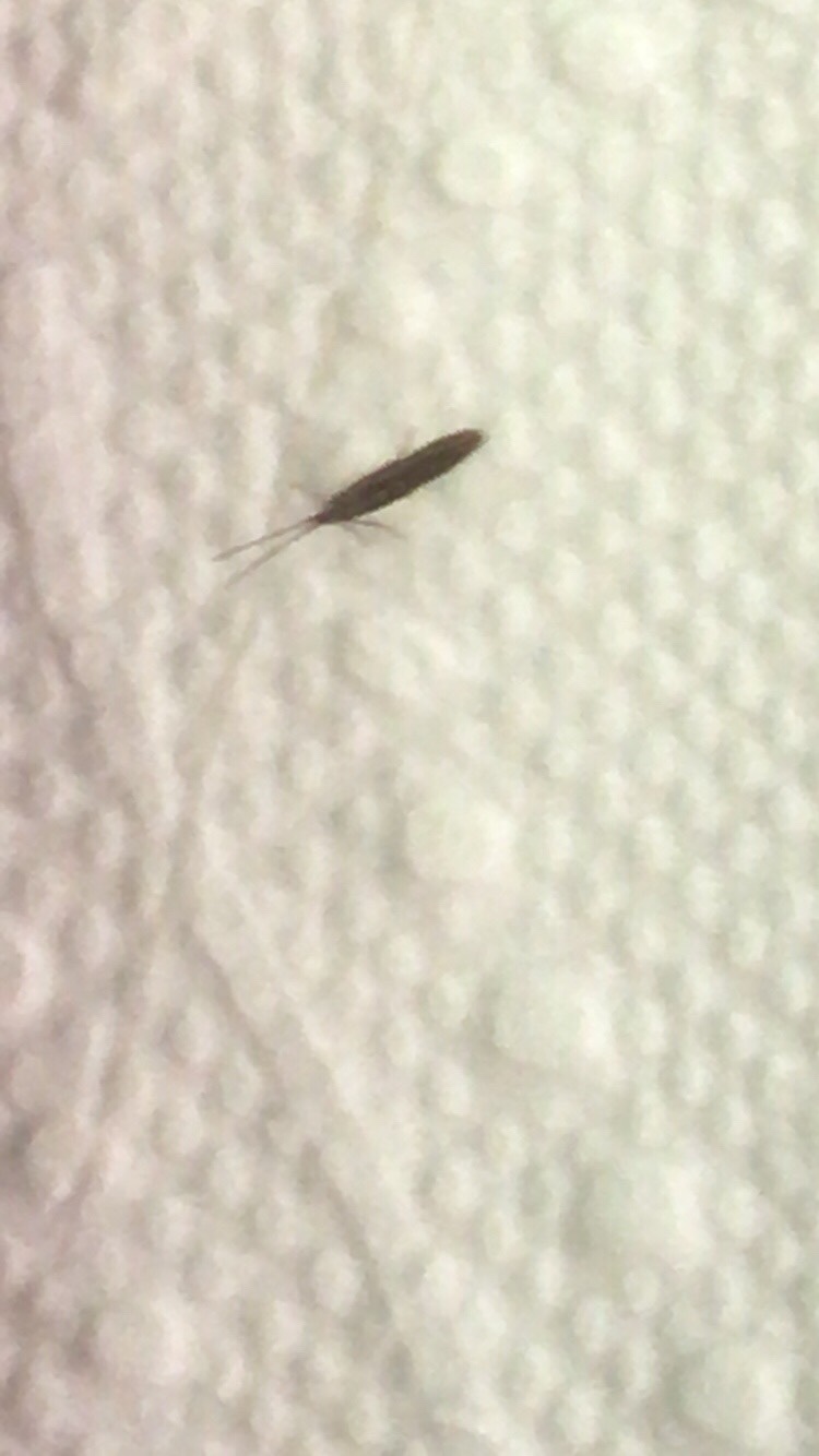 file.jpg