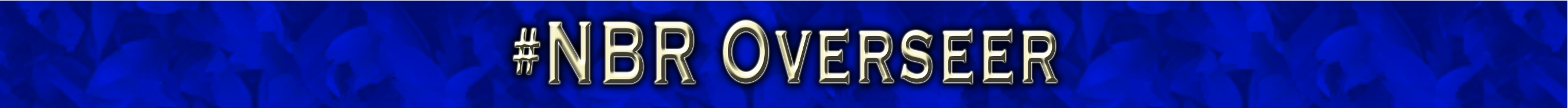 NBRoverseer.png