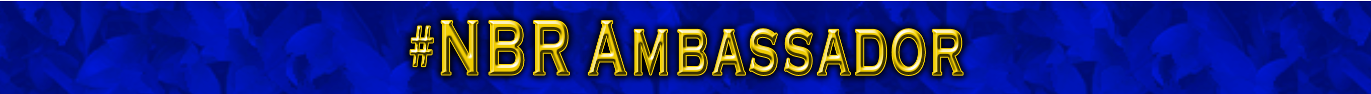NBRambassador.png