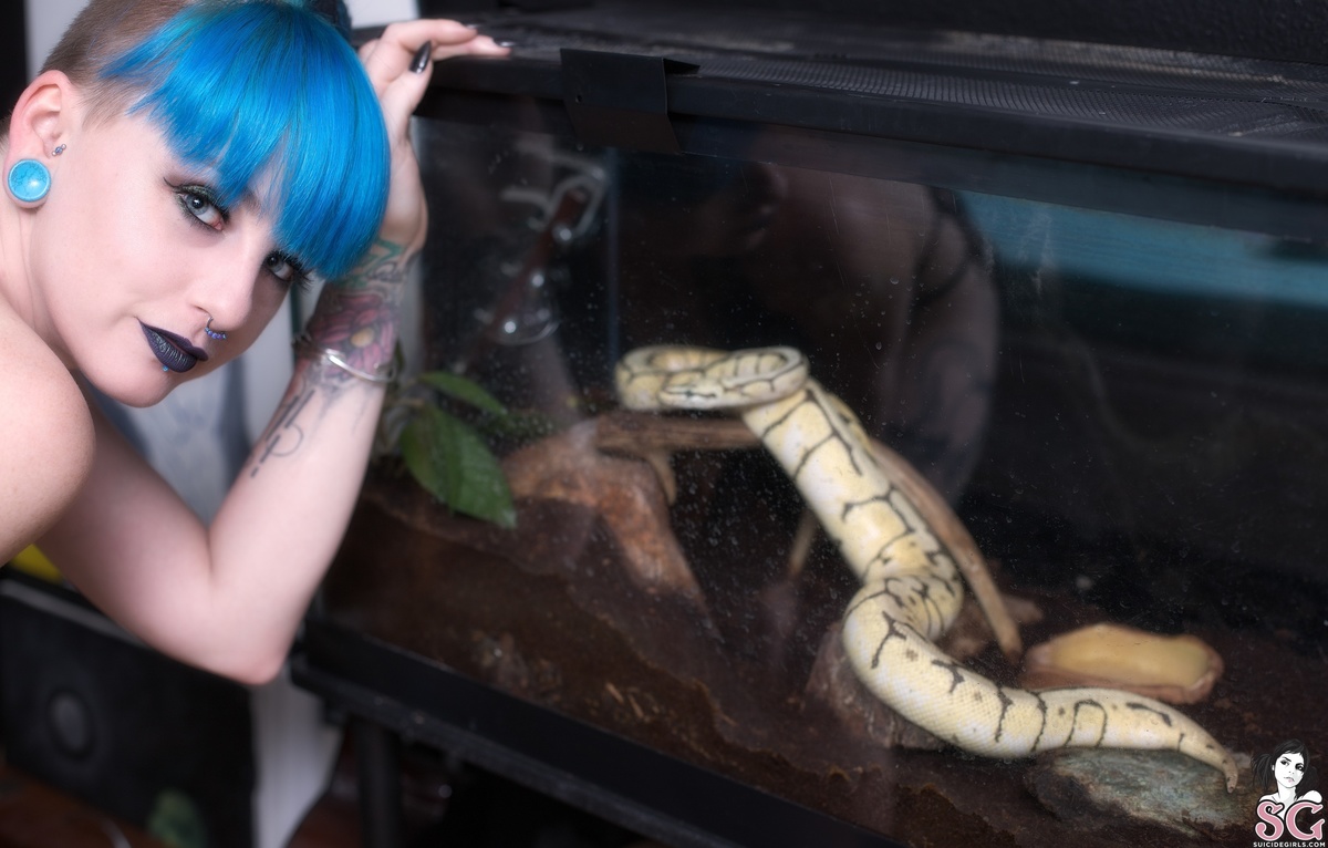 kinzy-serpentinesoak-01.jpg
