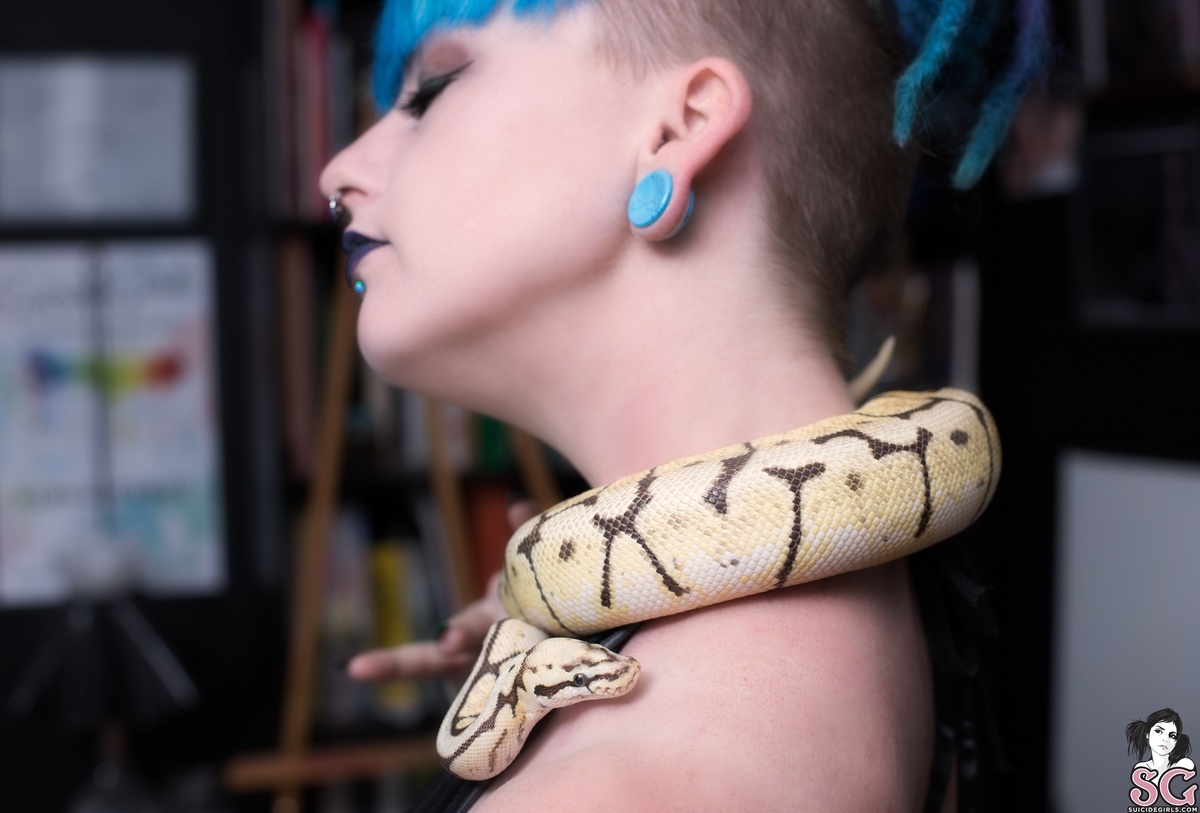 kinzy-serpentinesoak-03.jpg