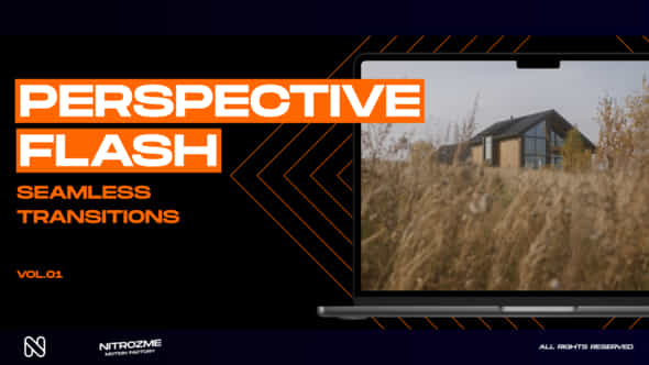 47616993-perspective-flash.jpg