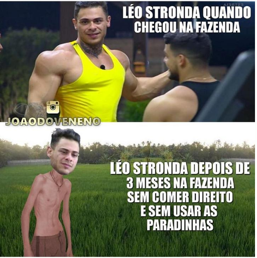 leo.PNG