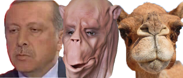 Erdoğan