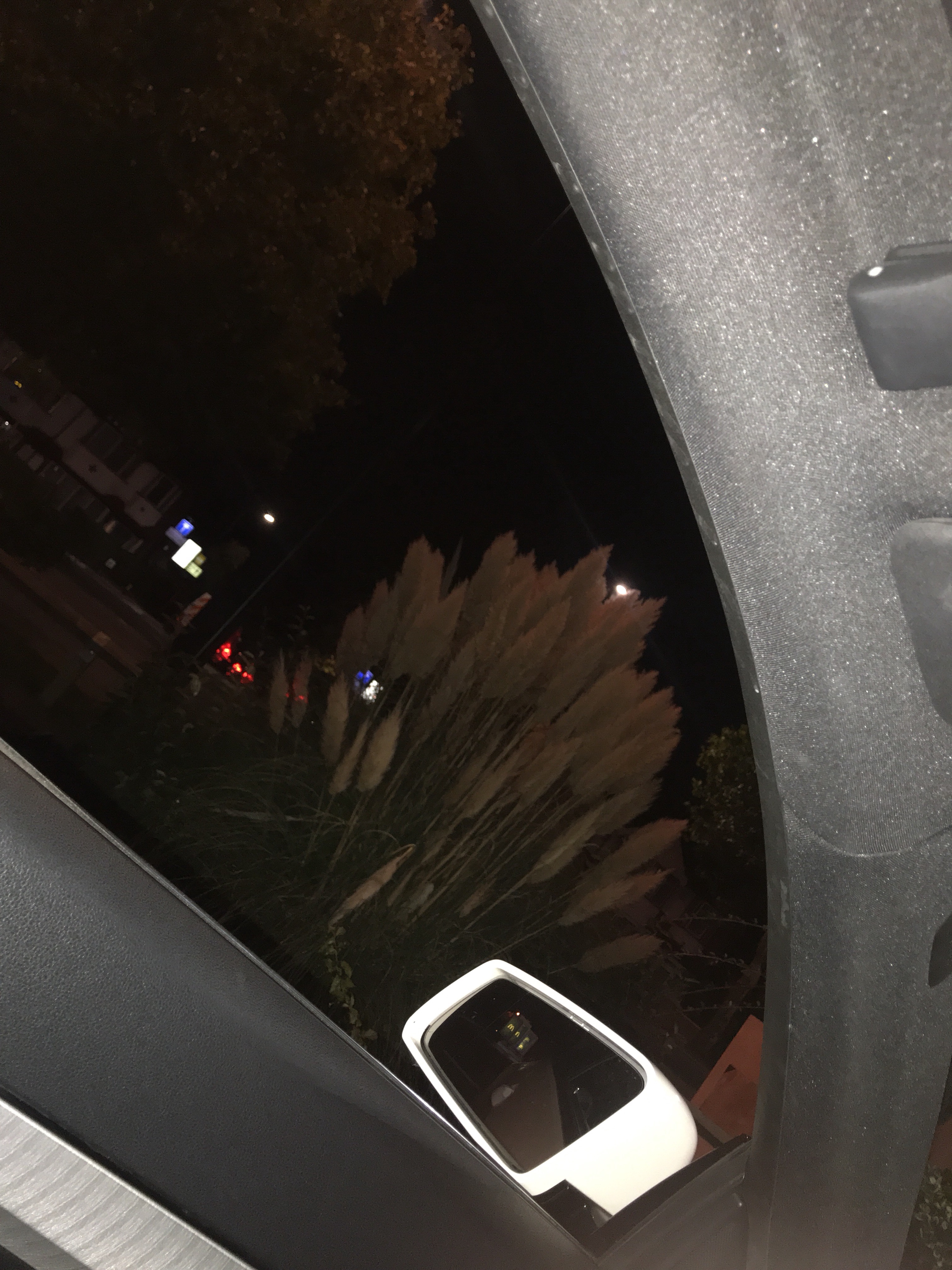 file.jpg