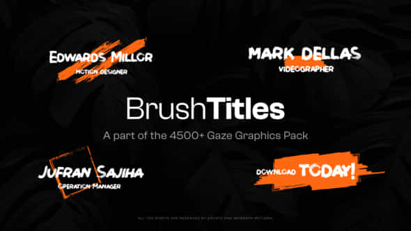 47490617-20-brush.jpg