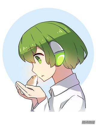 nmsl