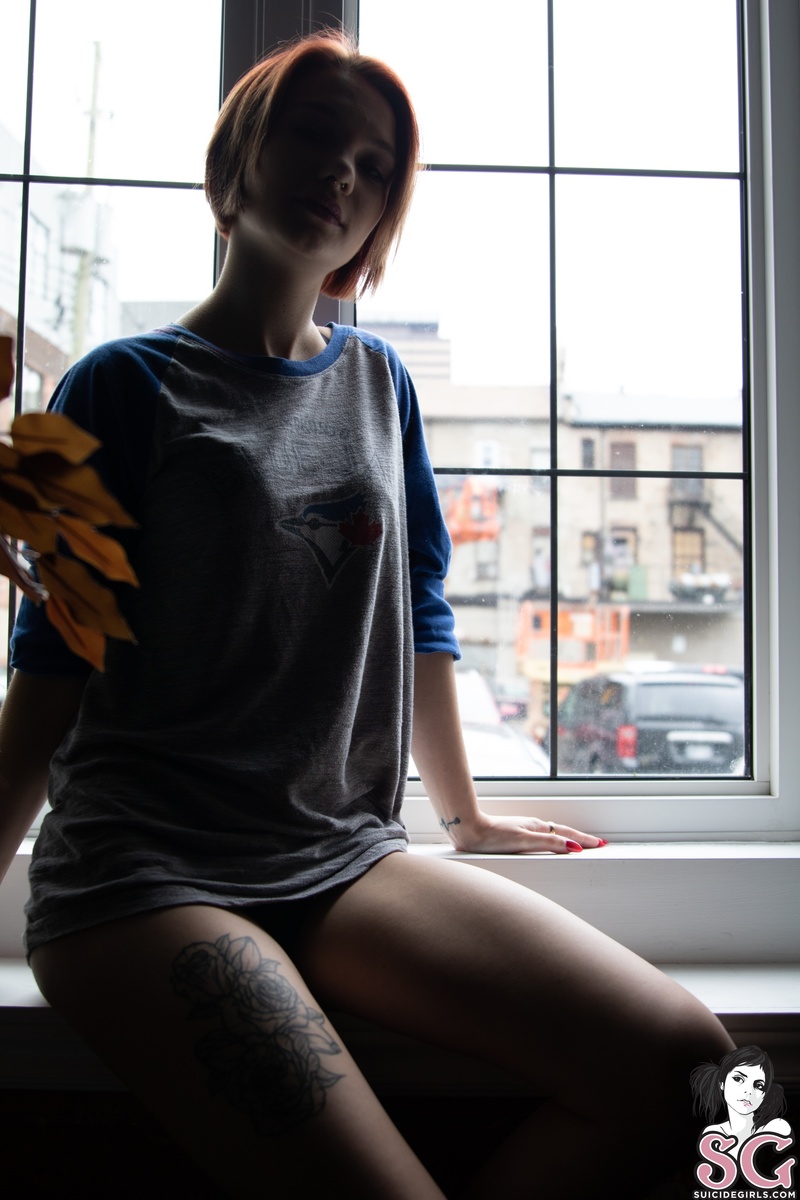 bambi-daydream-07.jpg