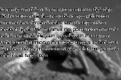 loremipsum
