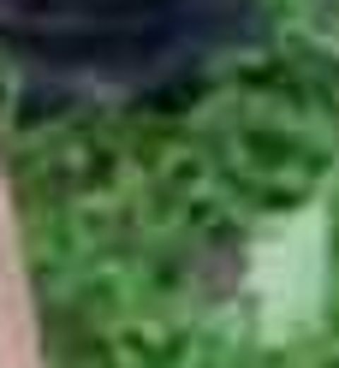 RIS.jpg