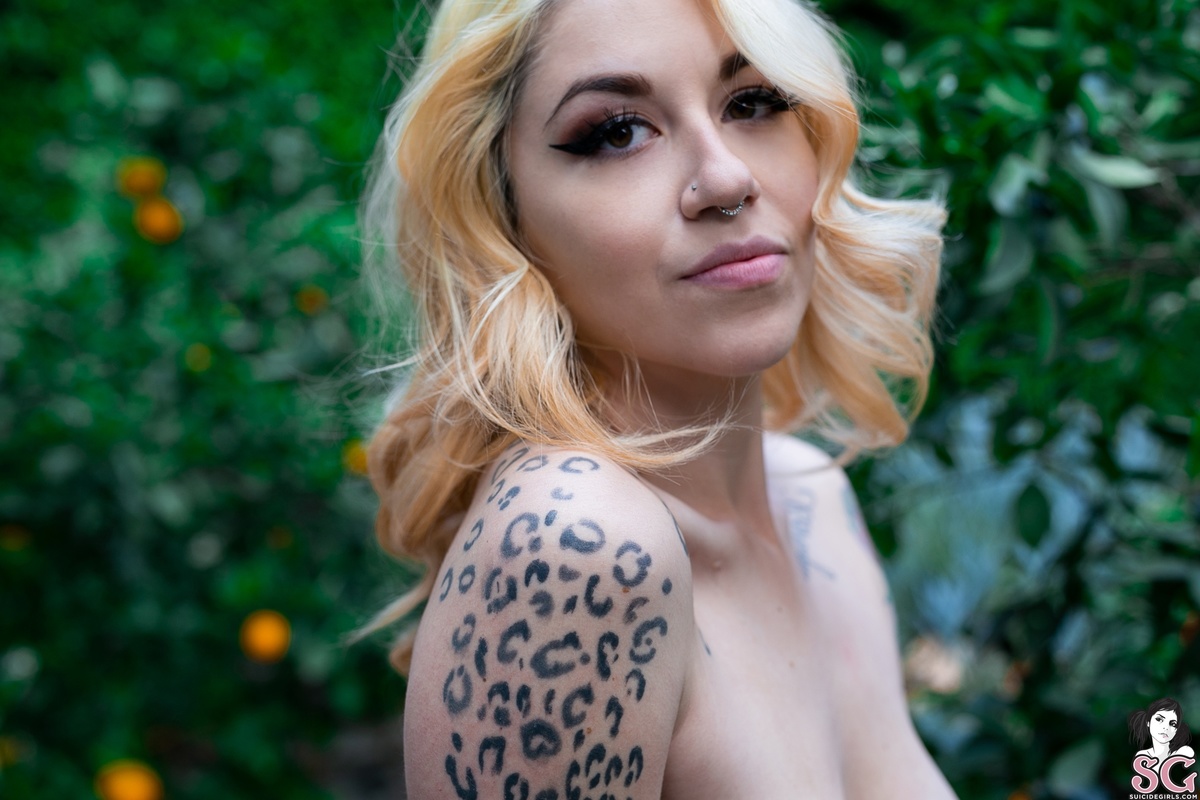 clair-orangecrush-31.jpg