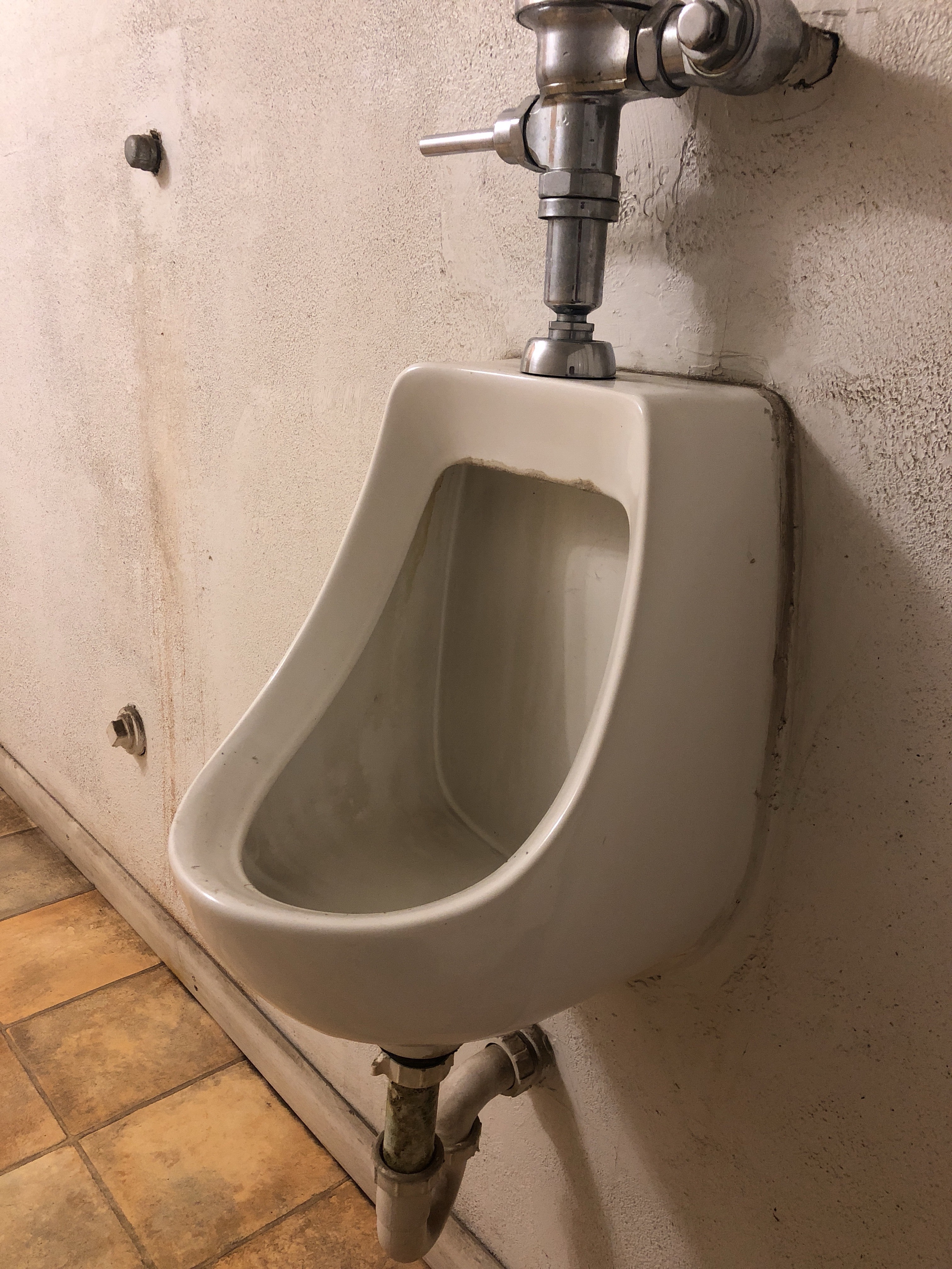 file.jpg