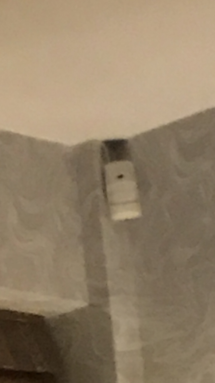 file.jpg