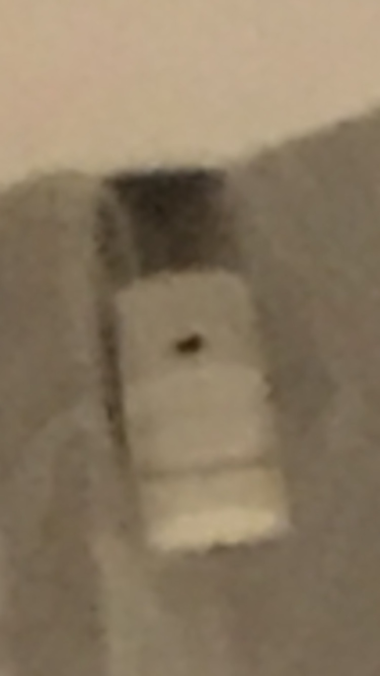 file.jpg