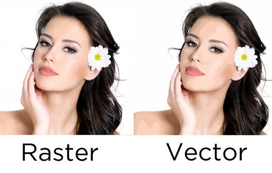 Best Firm for Vector Art Services