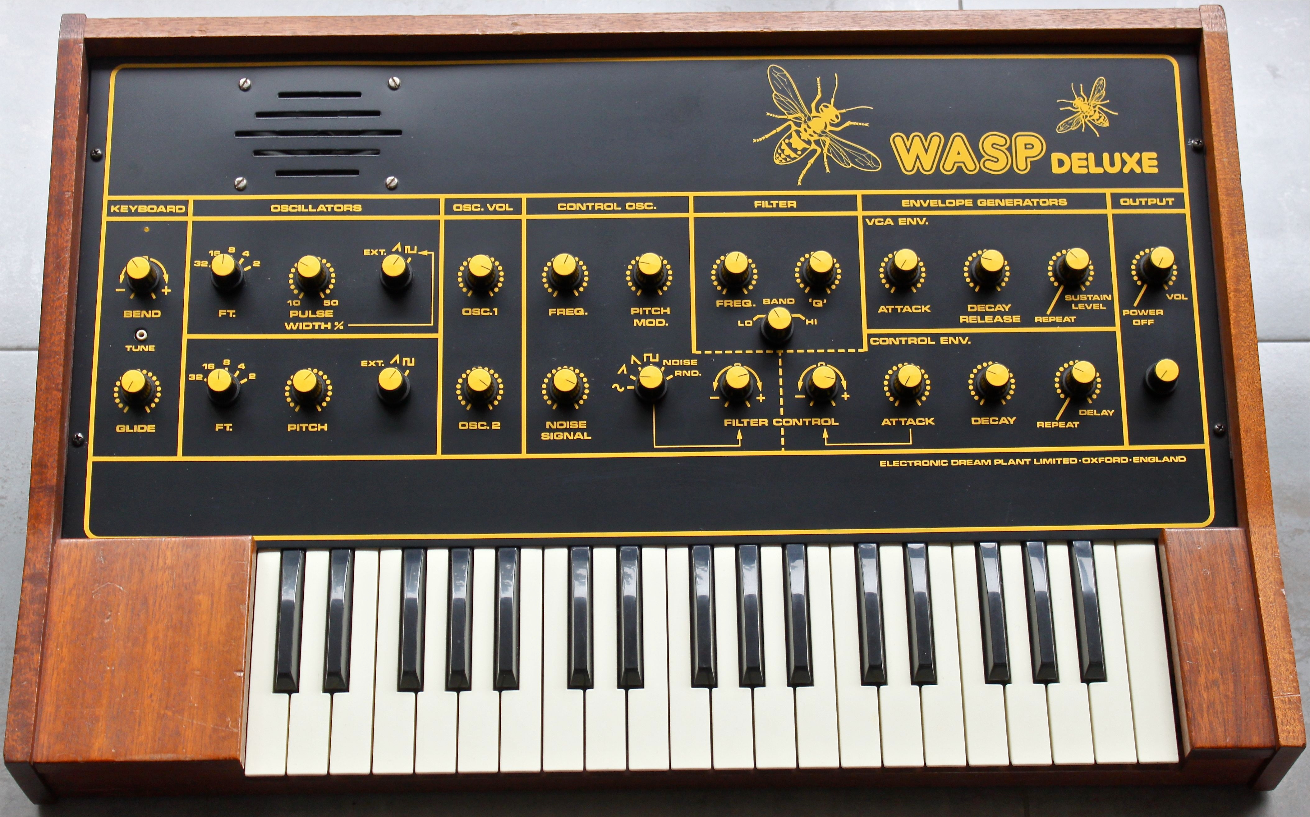 wasp.jpg