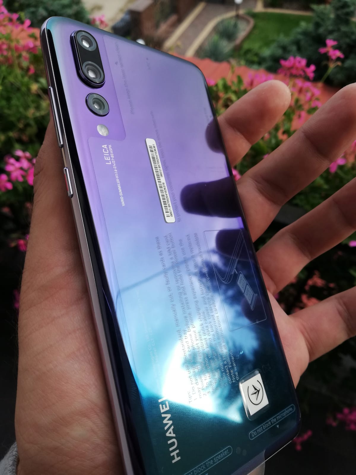 File..jpg