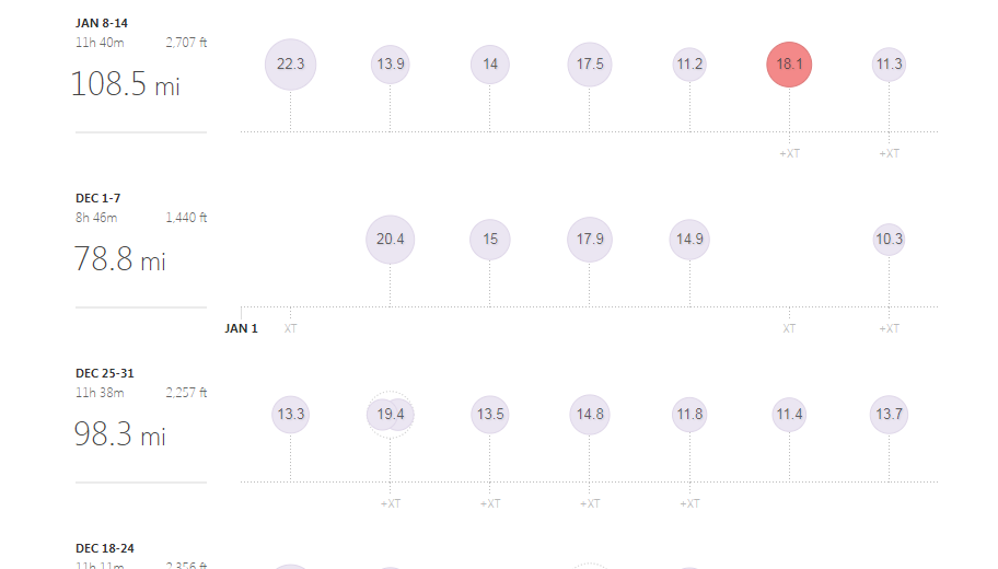 strava bug