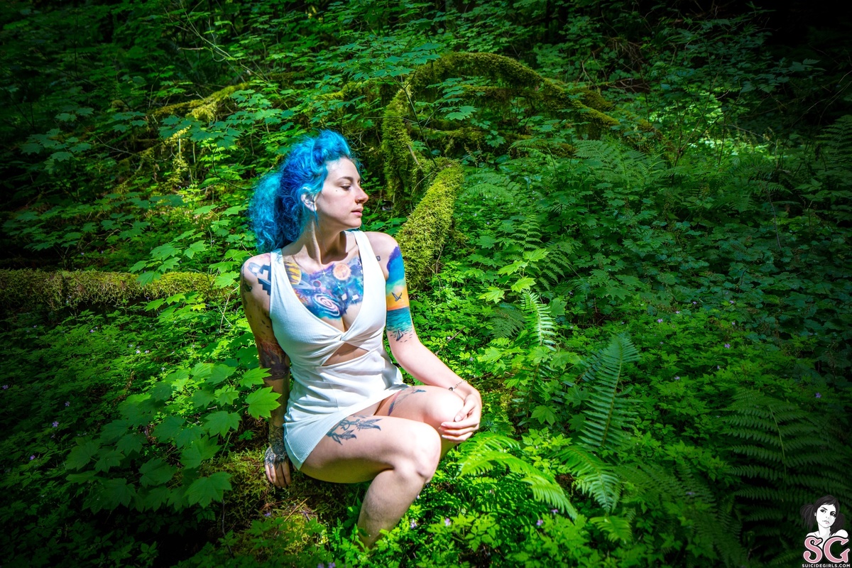 farefox-woodlandfairy-01.jpg