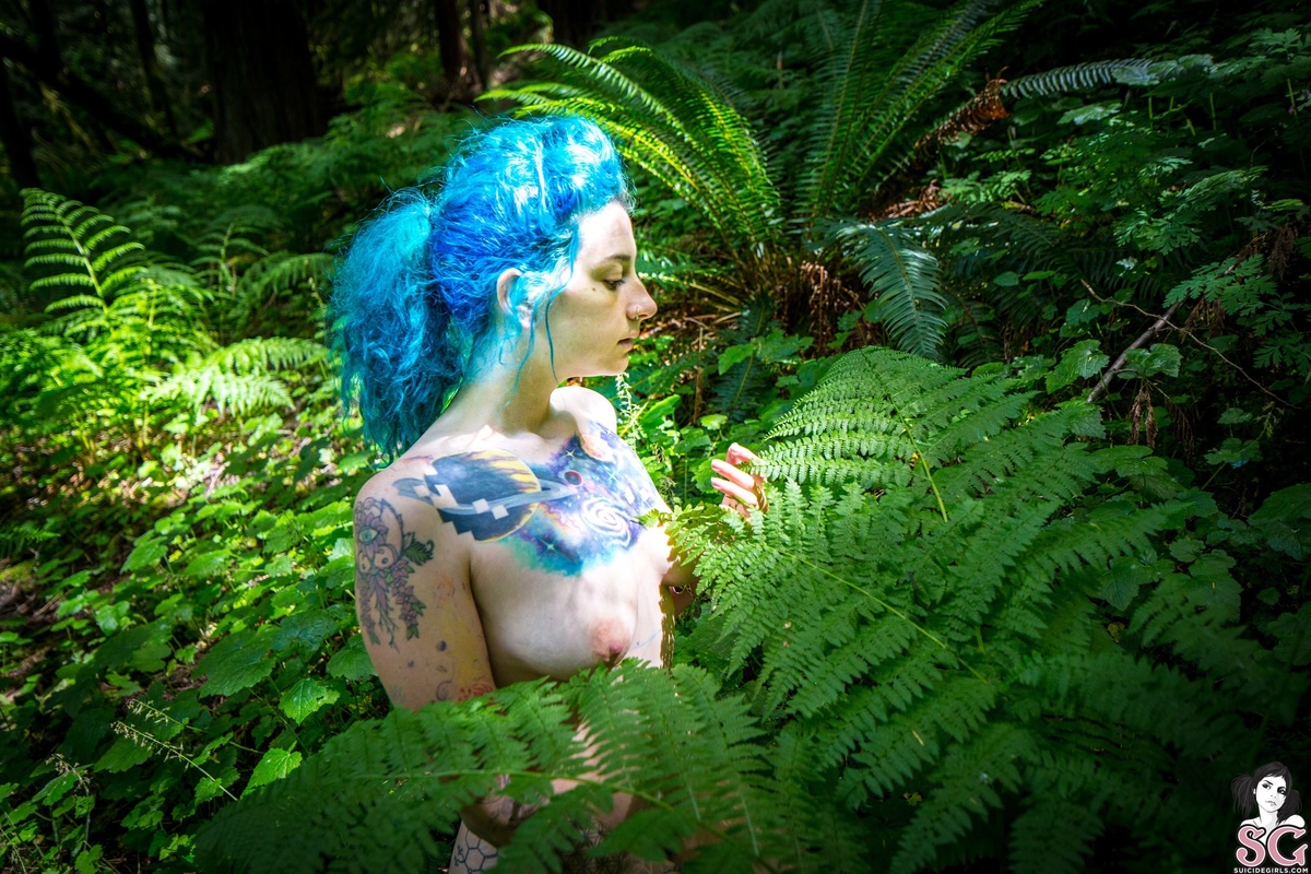 farefox-woodlandfairy-23.jpg
