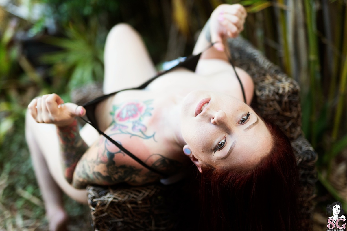kpax-paradise-11.jpg