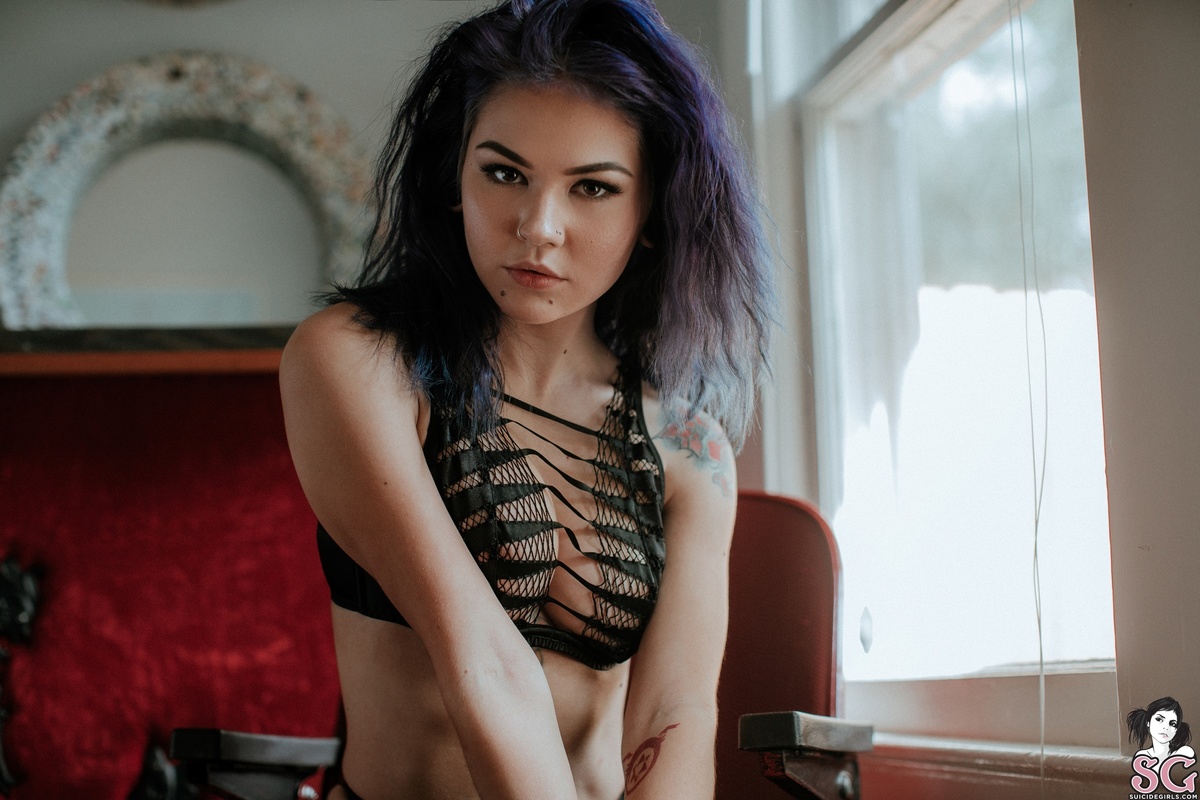 niss-provocateur-07.jpg