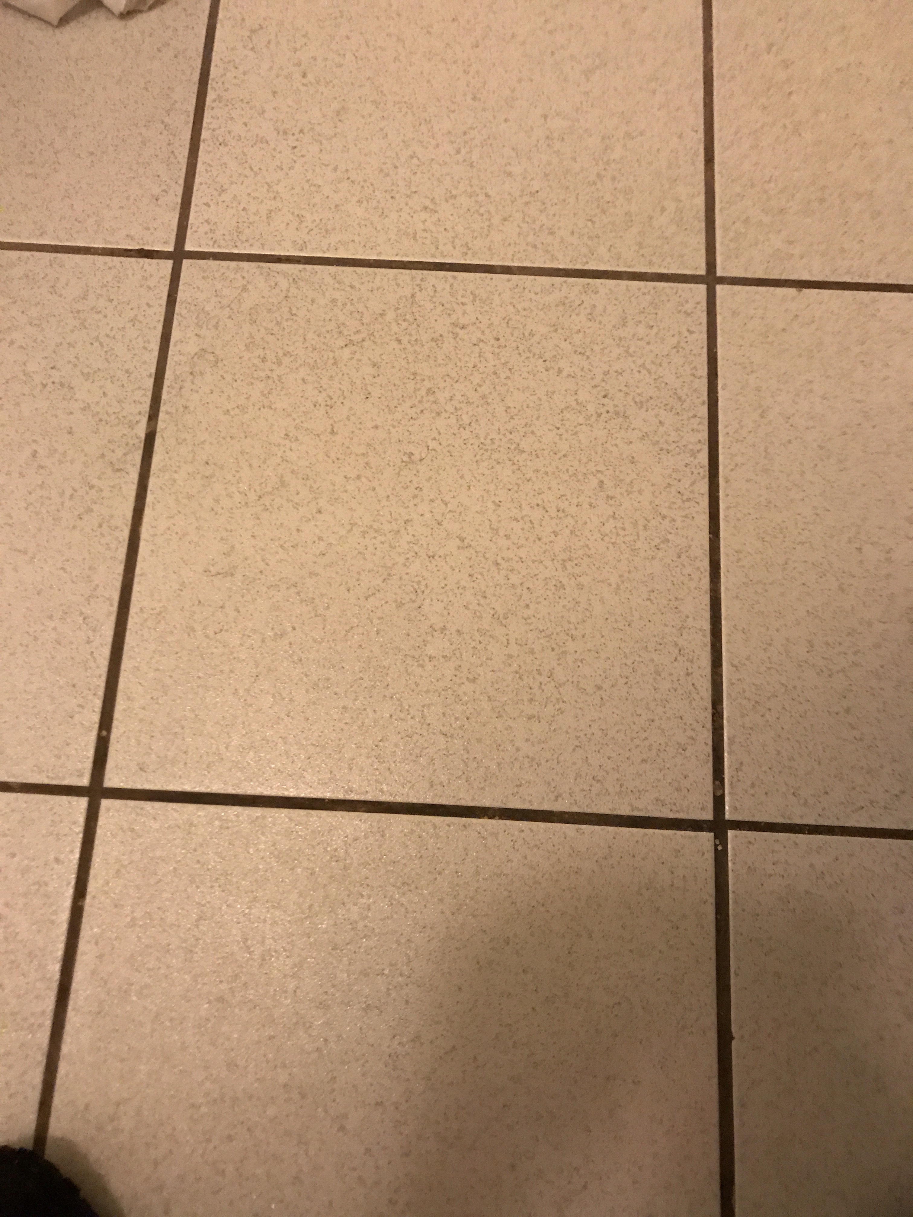 file.jpg