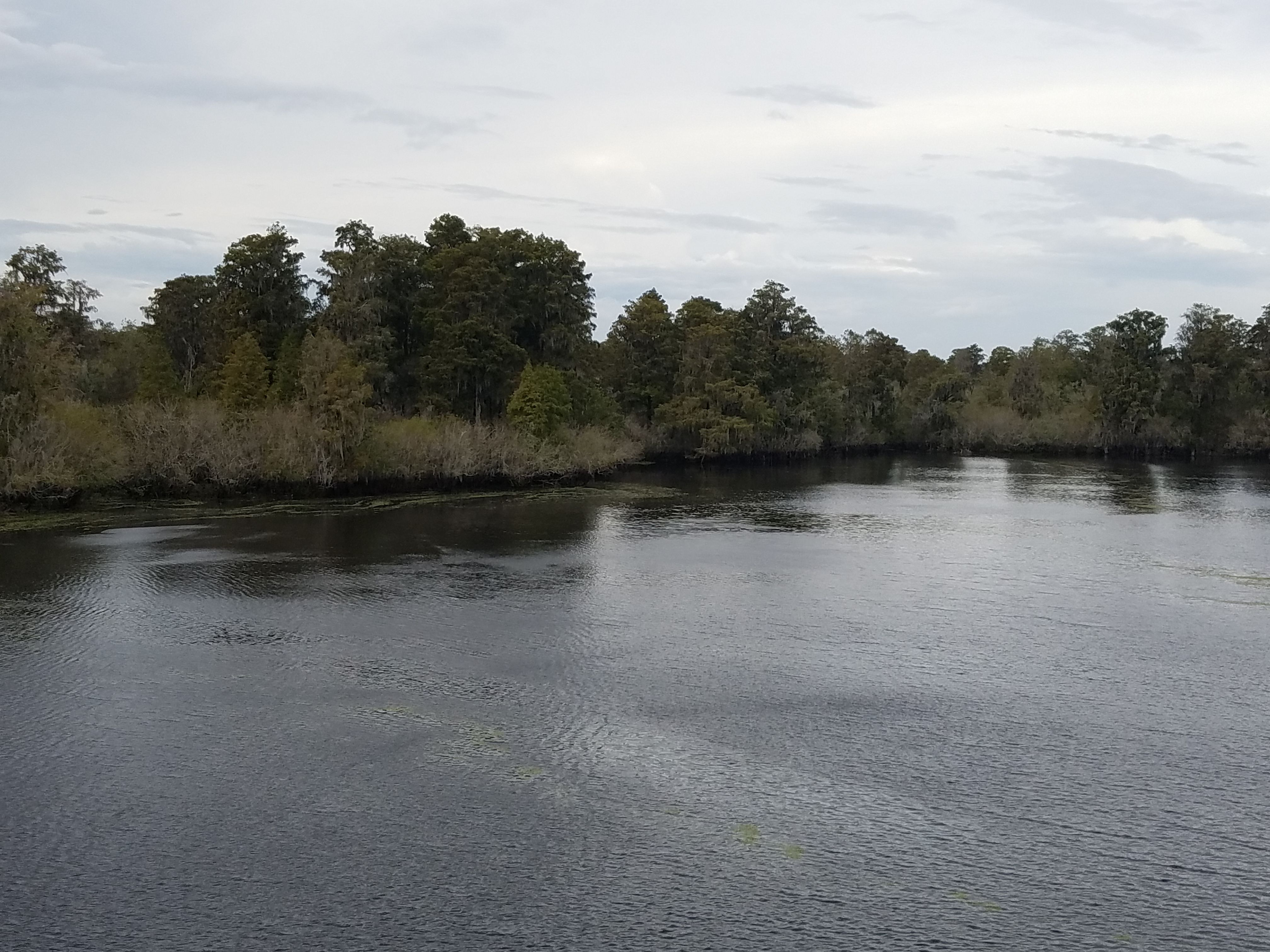 20181026_125320.jpg