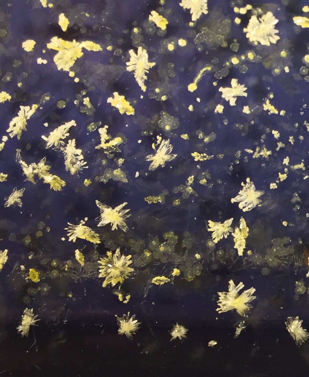 2D35ED1E-67DF-4A01-88D6-A660AA003736.jpeg